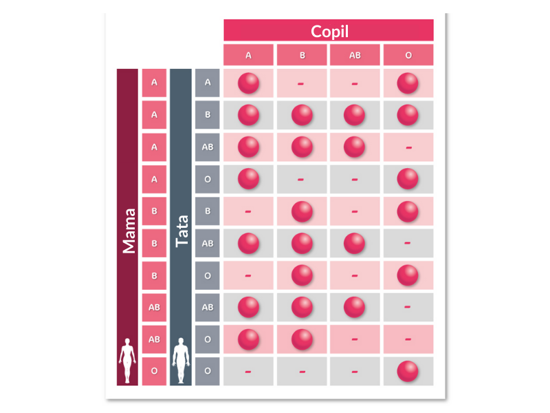 grupe sanguine, grupe sange, rh