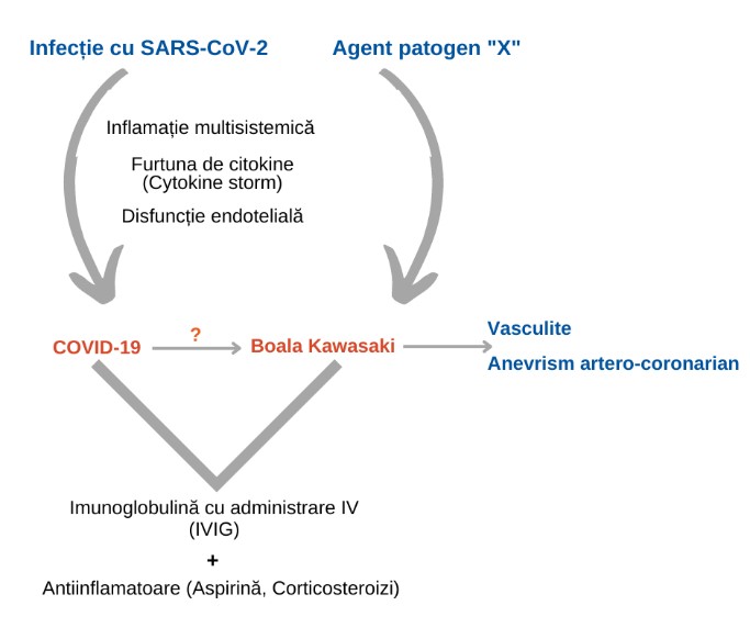 boala kawasaki, kawasaki, vasculita, boala copiilor, conjunctivita copii