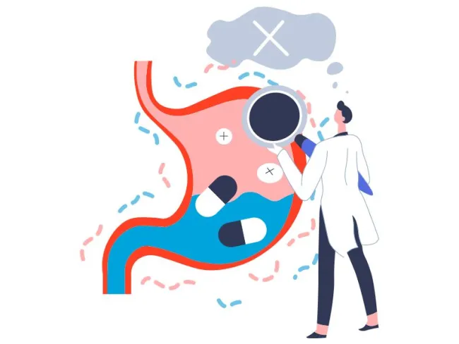 Microbiota intestinală și implicații la nivel metabolic și cerebral uman