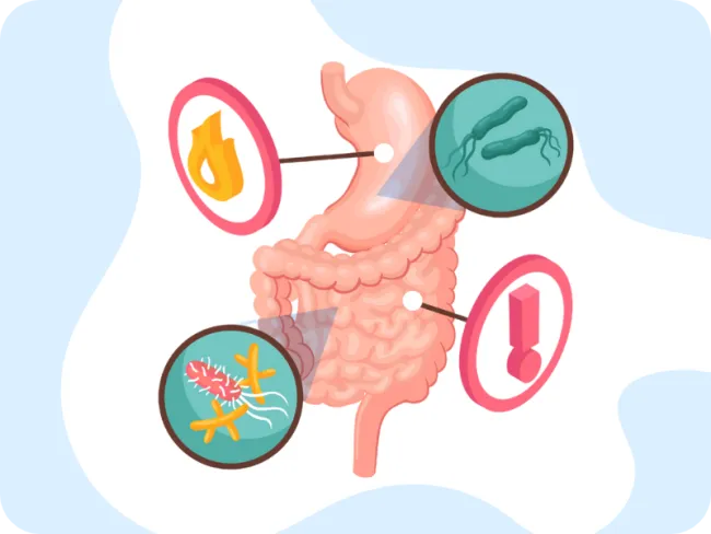 enterocolita, enterita, enterocolita copii, enterocolita tratament, enterocolita simptome, enterocolita acuta