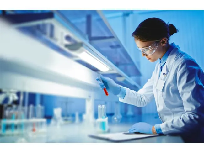 Veniturile Medicover și Synevo din România au crescut cu peste 40% în prima jumătate a anului