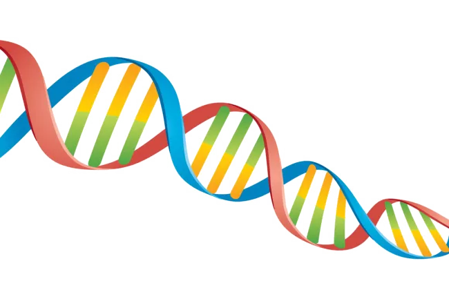 Utilitatea cariotipului molecular (acgh) în diagnosticul genetic al pacienţilor cu cariotip constituţional normal şi modificări genomice neechilibrate corelate cu afectare fenotipică specifică