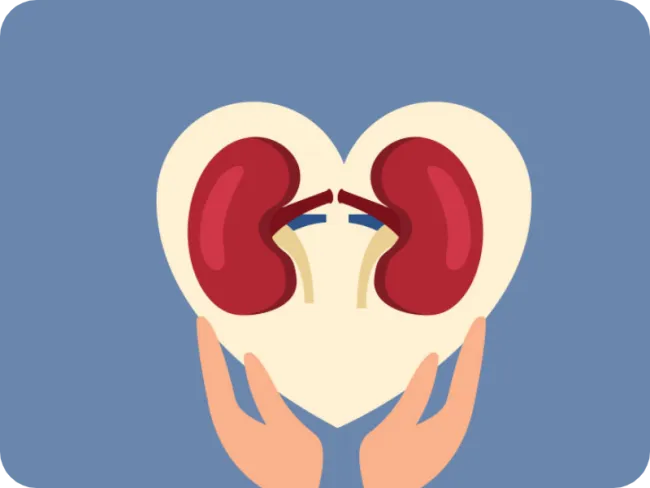 Informații utile despre “Urocultură (cu antibiogramă după caz)”