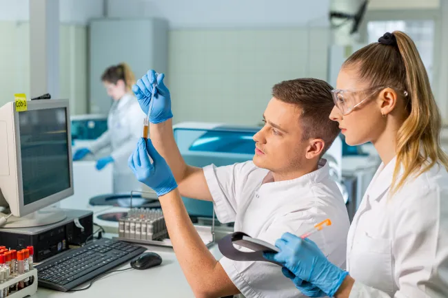 Cele mai citite articole