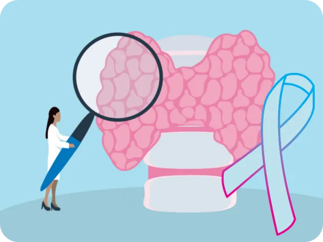 Informații utile despre “TSH (Hormon de stimulare tiroidiană)”