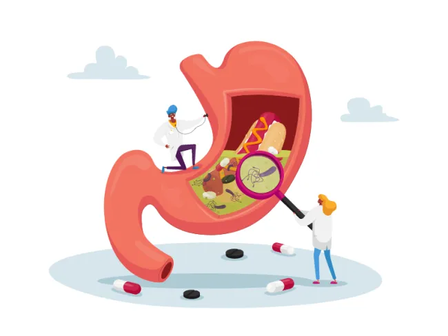 Informații utile despre “Helicobacter pylori Anticorpi IgG”