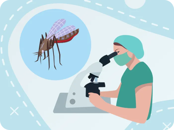 virusul zika, intepaturi tantar, synevo