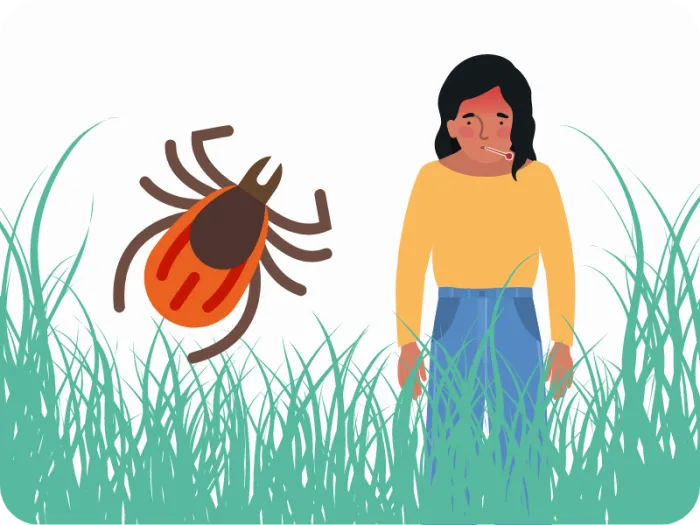 boala lyme synevo muscatura de capusa