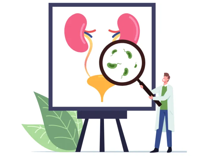 infectie urinara, tratament infectie urinara, infectie urinara femei, infectii urinare