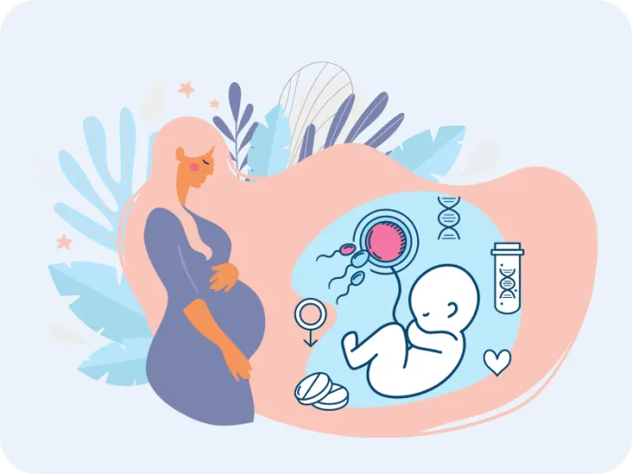 sarcina, monitorizarea sarcinii, primul trimestru de sarcina, trimestrul 2 de sarcina, trimestrul 3 de sarcina, diabet gestational