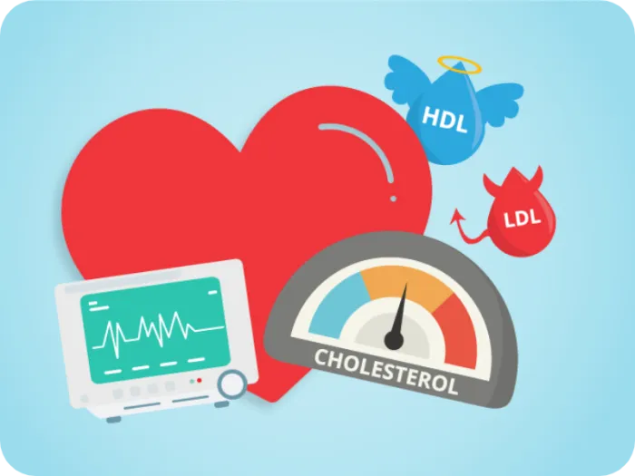 colesterol, colesterol HDL, colesterol LDL